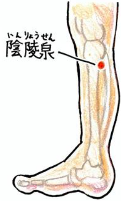 【野田阪神、福島区！】なぜ3月の足は重くなるのか？東洋医学の「水液代謝」と根本改善の理論