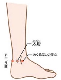 梅雨の「湿邪」に負けない身体へ。5月の今、脾・腎を整えるべき臨床的理由。