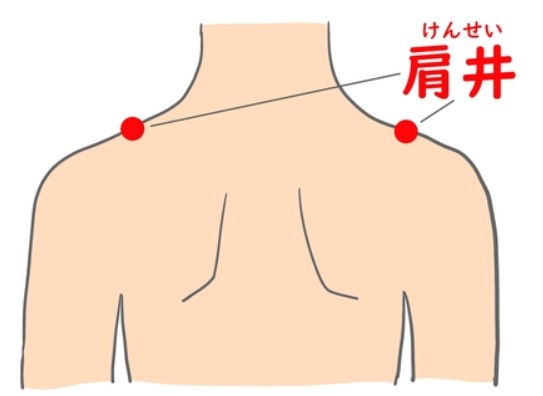 首・肩こりの元凶にアプローチ！NO・2「肩井（けんせい）」と経絡のつながり
